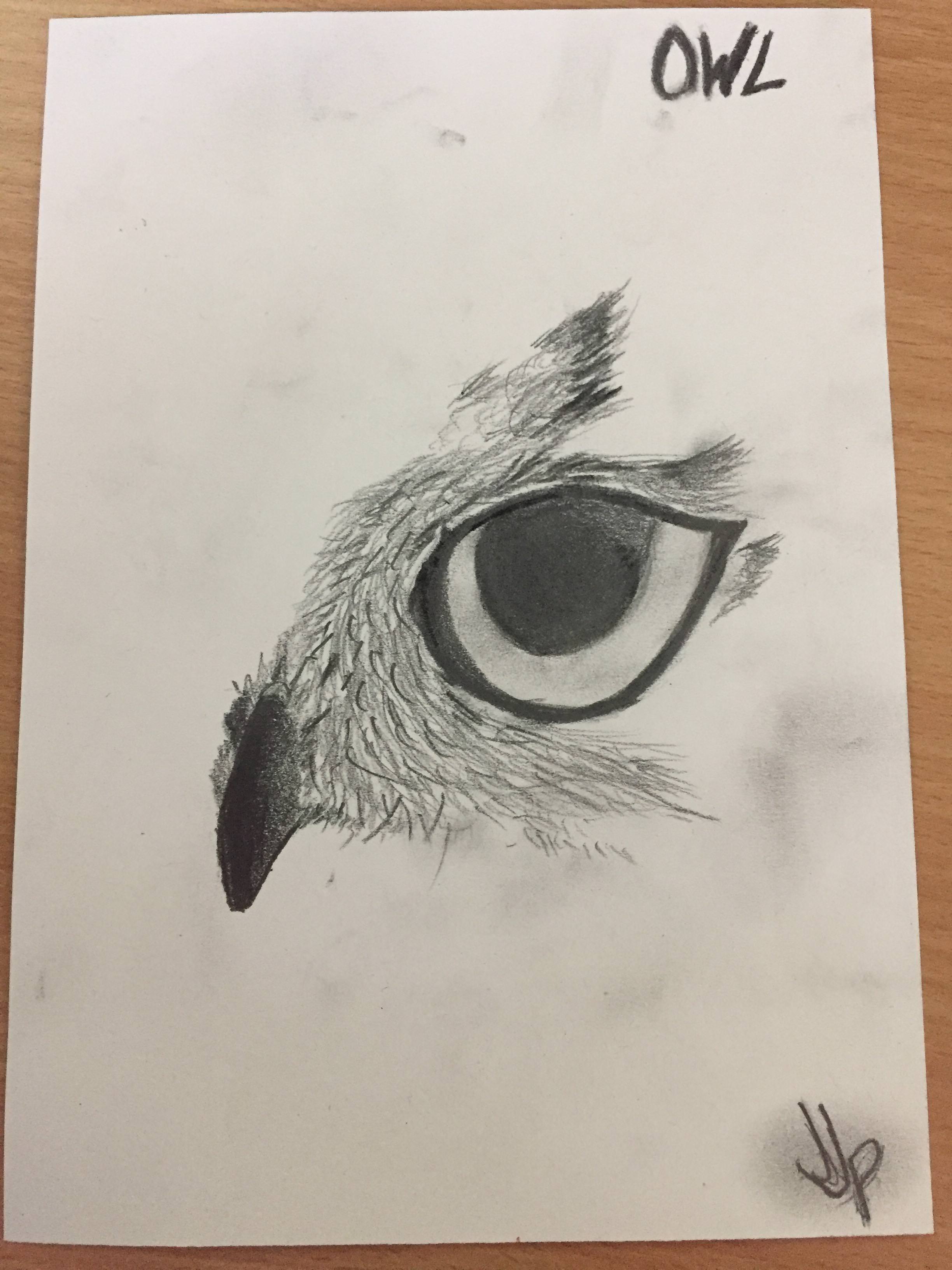 2448x3264 Owl Half Face Drawing. - Half Face Sketch