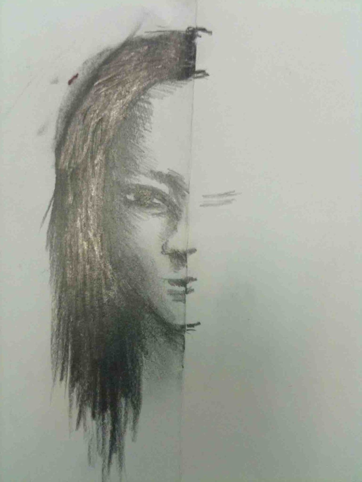Half Face Sketch at Explore collection of Half