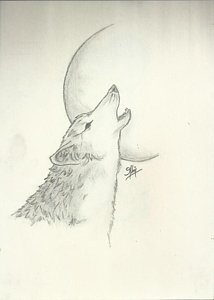 214x300 Half Moon Drawings Fine Art America - Half Moon Sketch