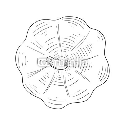 400x400 Hand Drawn Halloween Pumpkin Sketch Isolated On White. Buy - Halloween Pumpkin Sketch