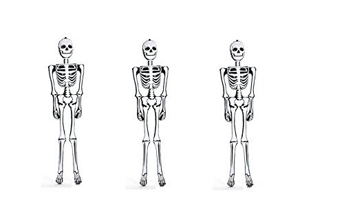 500x313 3 )halloween Skeleton Inflate ~ 6ft ~ Inflatable Halloween - Halloween Skeleton Sketch