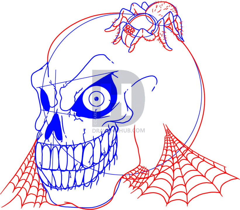 821x720 Drawing A Halloween Skull, Step By Step, Drawing Guide, By - Halloween Skull Sketch