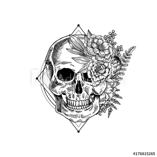 500x500 Halloween Floral Vintage Skull Illustration. Human Skeleton - Halloween Skull Sketch