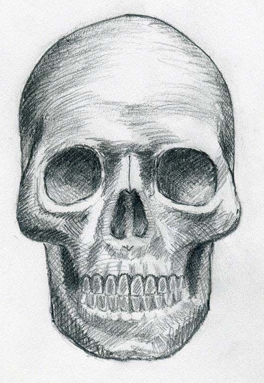 533x772 Skull Line Art Click The Image To Enlarge Halloween - Halloween Skull Sketch