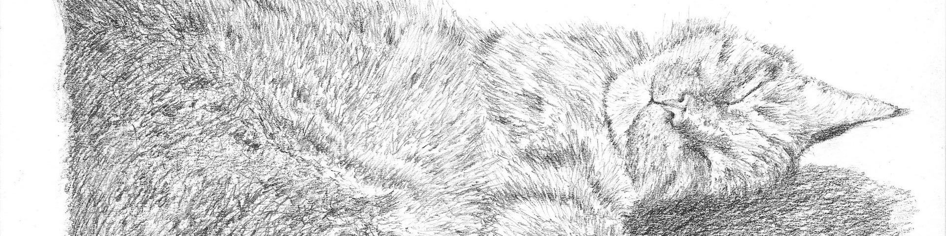 1920x480 Halo (Sketch) Pens! Paper! Pencils! - Halo Sketch