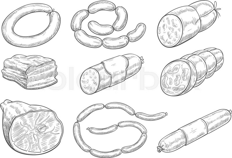 800x545 Meat Products Sketch Vector Icons. Isolated Symbols Of Sausages - Ham Sketch