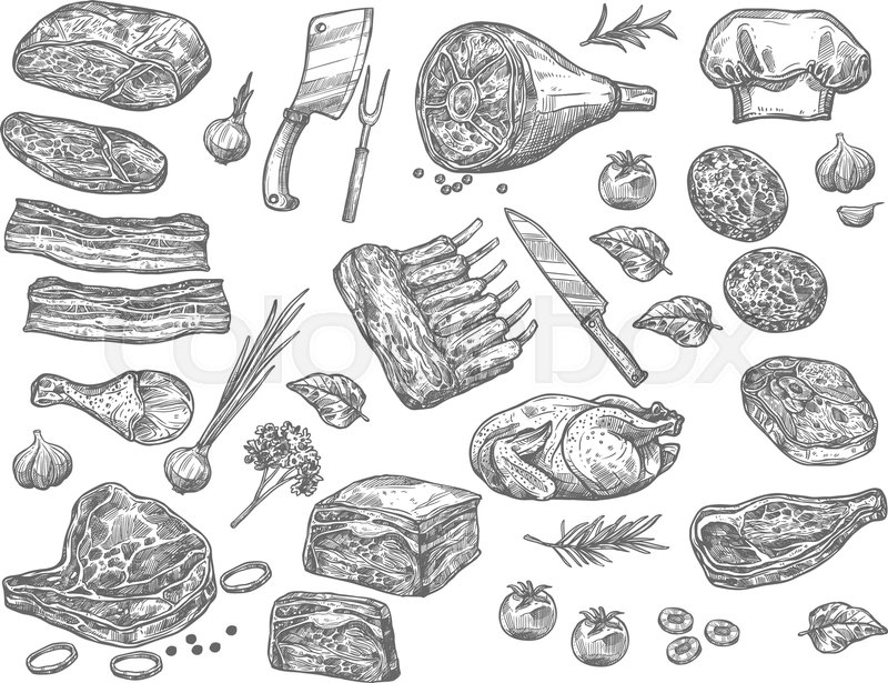 800x615 Meat Sketch Icons Set For Butchery Products. Vector Isolated Set - Ham Sketch