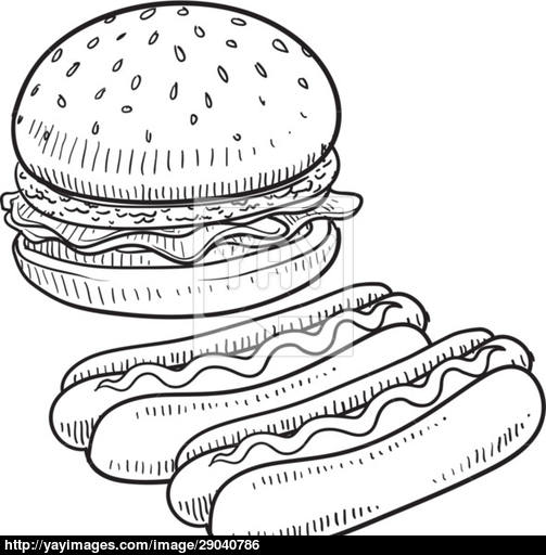 503x512 Hamburger And Hot Dog Vector Sketch Vector - Hamburger Sketch