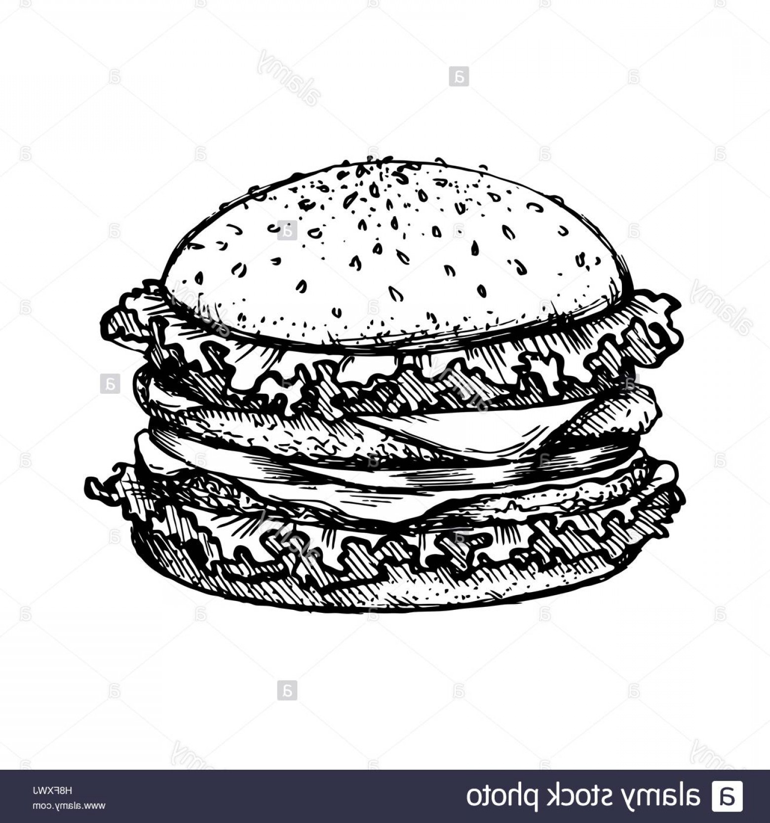 1560x1668 Stock Photo Sketch Hamburger Or Burger Vector Logo Design Template - Hamburger Sketch