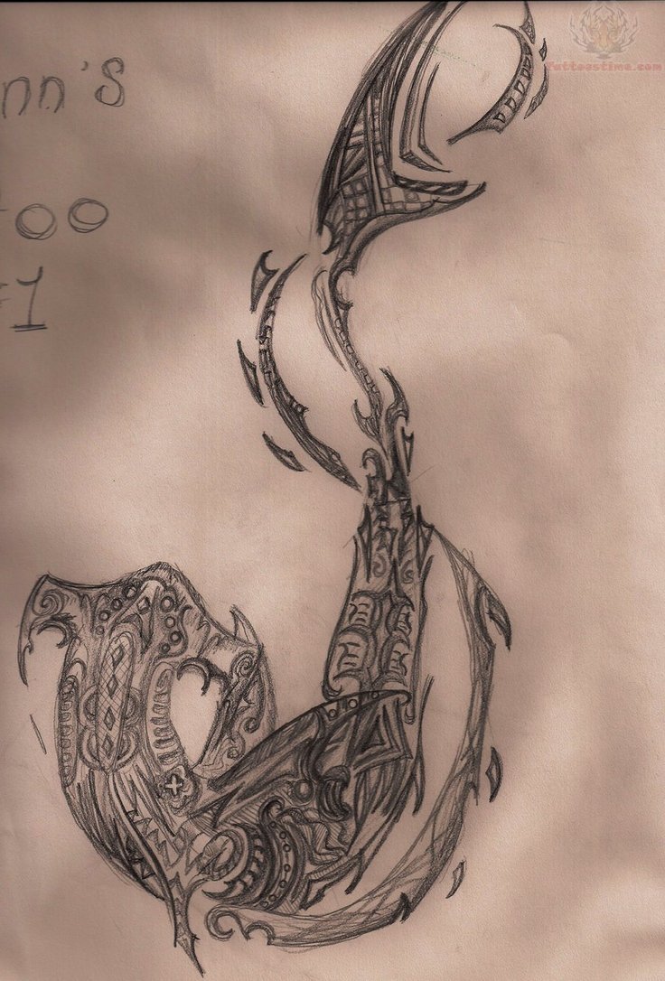 736x1086 Hammerhead Shark Tattoo Sketch - Hammerhead Shark Sketch