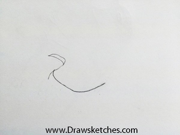 600x450 How To Draw A Hammerhead Shark In A Few Easy Steps With Pictures - Hammerhead Shark Sketch