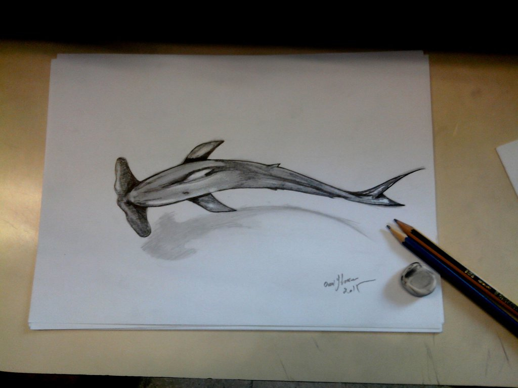 1024x768 3d Animals Pencil Sketches 3d Pencil Sketch Animals 3d Hammerhead - Hammerhead Shark Sketch