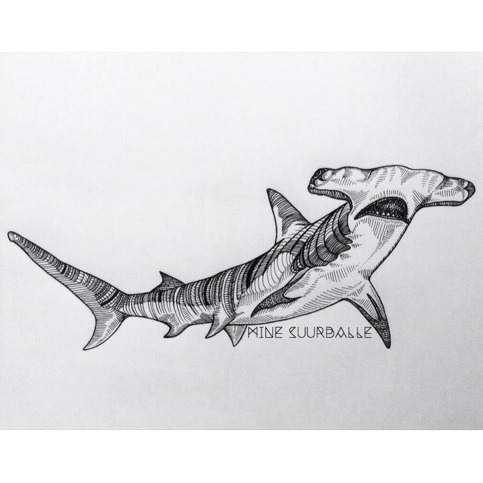 960x960 Hammerhead Shark Ink Shark Drawing, Drawings And - Hammerhead Shark Sketch