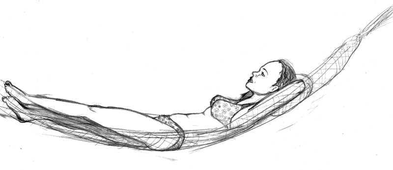 800x347 Hammock Sketch - Hammock Sketch