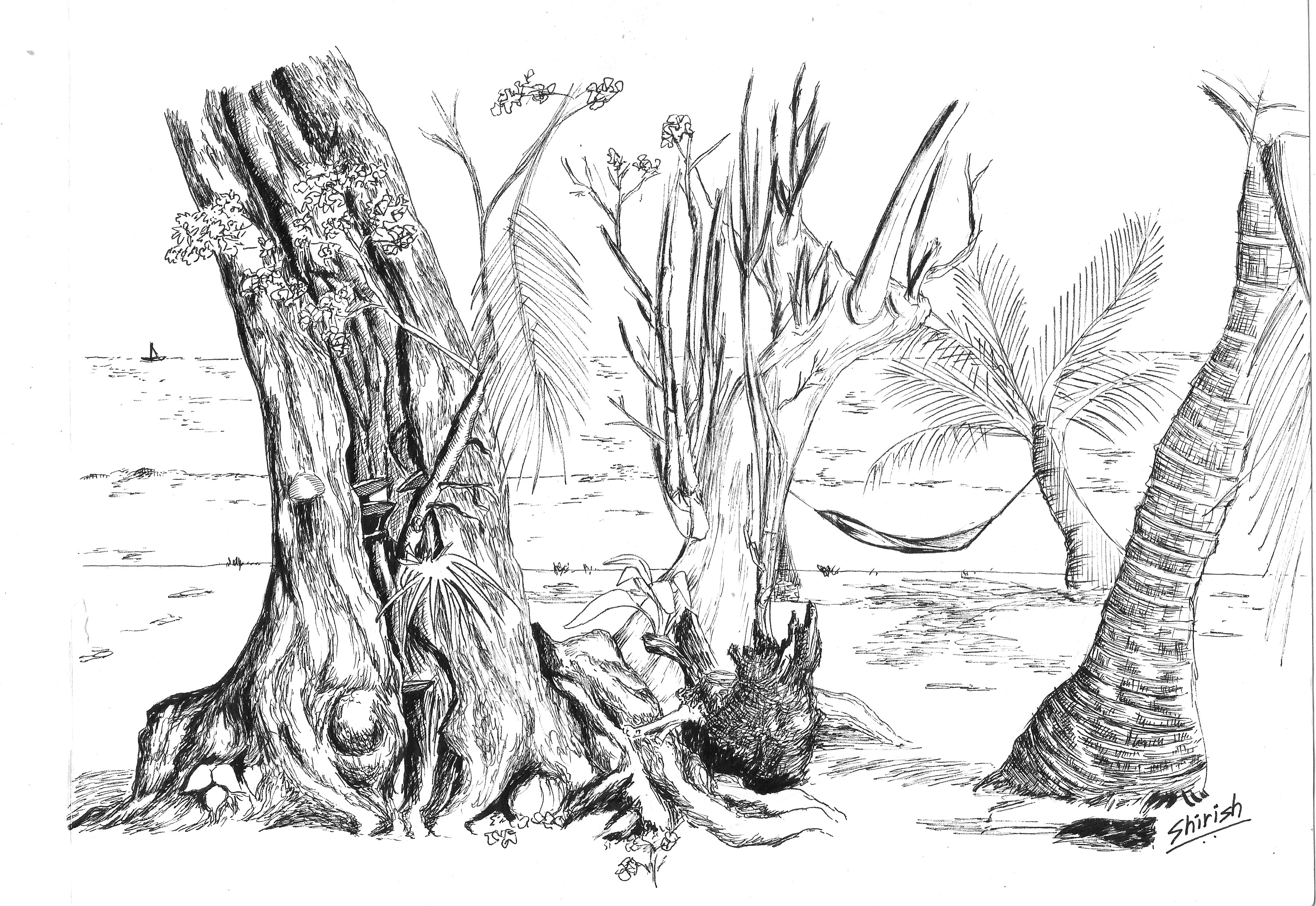 3462x2383 Hammock By The Trees Hues And Tones - Hammock Sketch