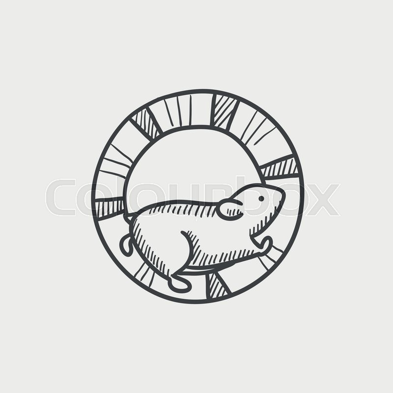 800x800 Hamster Running In The Wheel Sketch Icon Set For Web, Mobile And - Hamster Sketch
