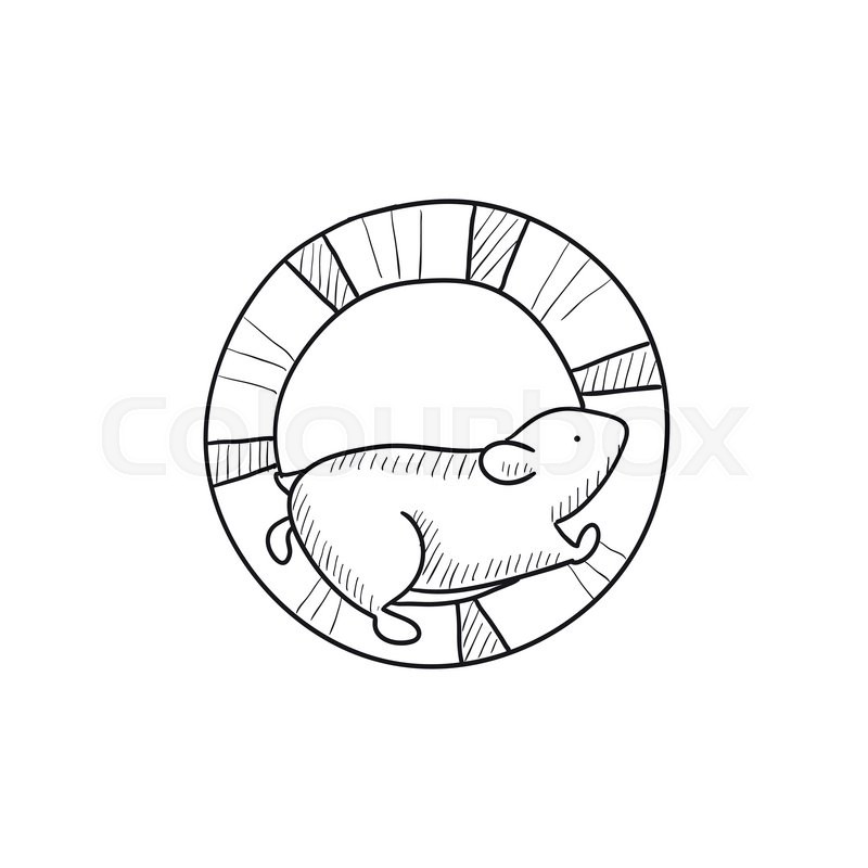 800x800 Hamster Running In The Wheel Vector Sketch Icon Isolated On - Hamster Sketch