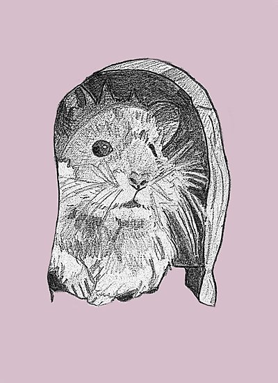 400x550 Hamster Sketch Photographic Prints By Toucanstreasure Redbubble - Hamster Sketch
