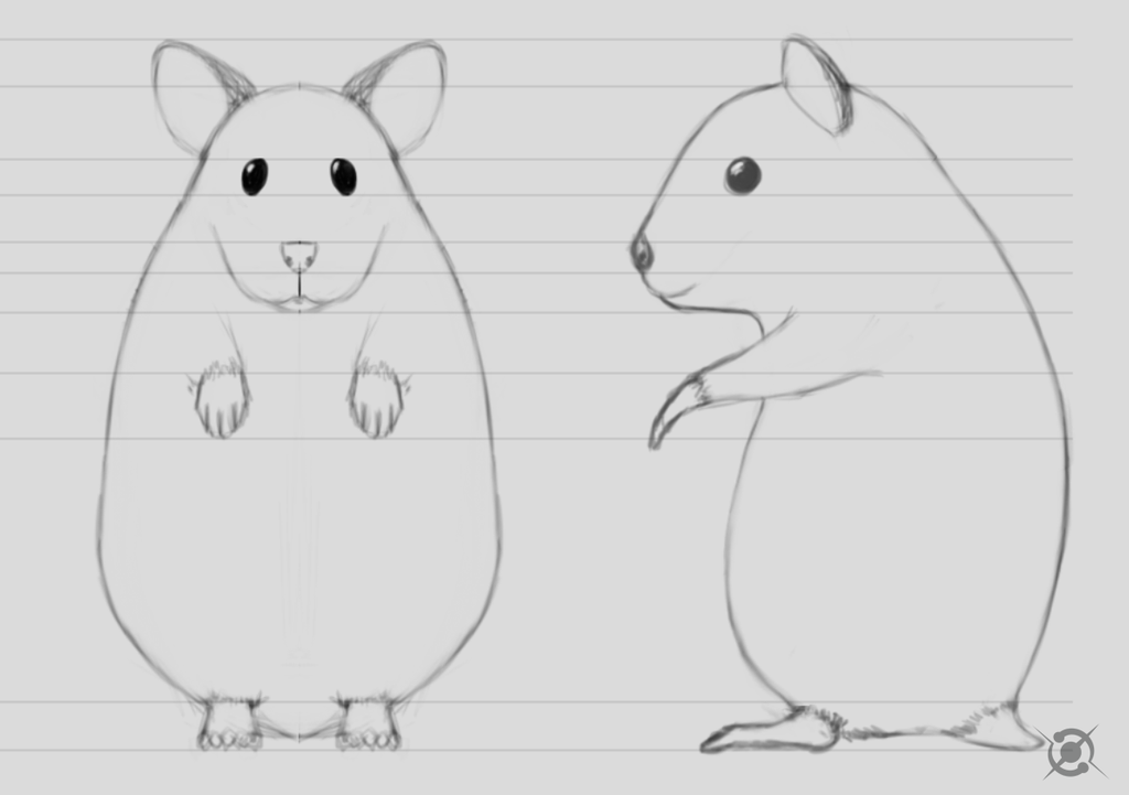 1024x721 Hamster Sketch For 3d By Bigcolors - Hamster Sketch