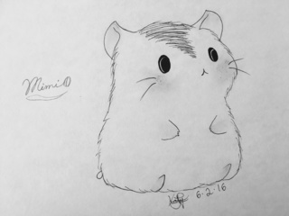320x240 I Present To U...the Cute Hamster Mimi !! - Hamster Sketch