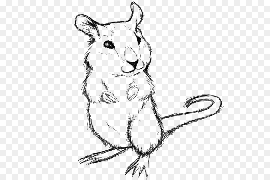 900x600 Rat Whiskers Gerbil Hamster Sketch - Hamster Sketch