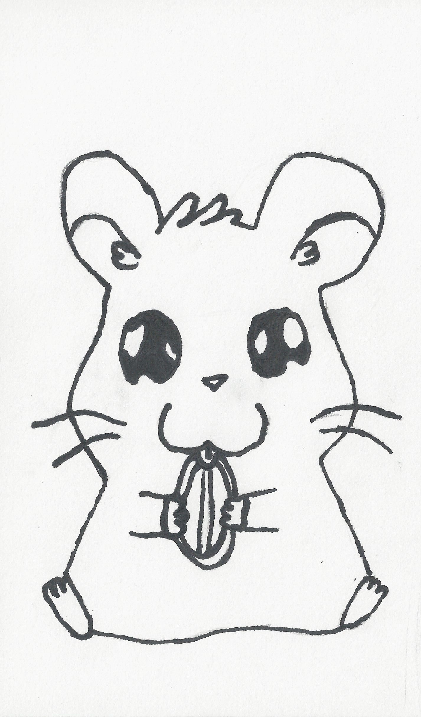 1426x2426 Sindre - Hamster Sketch
