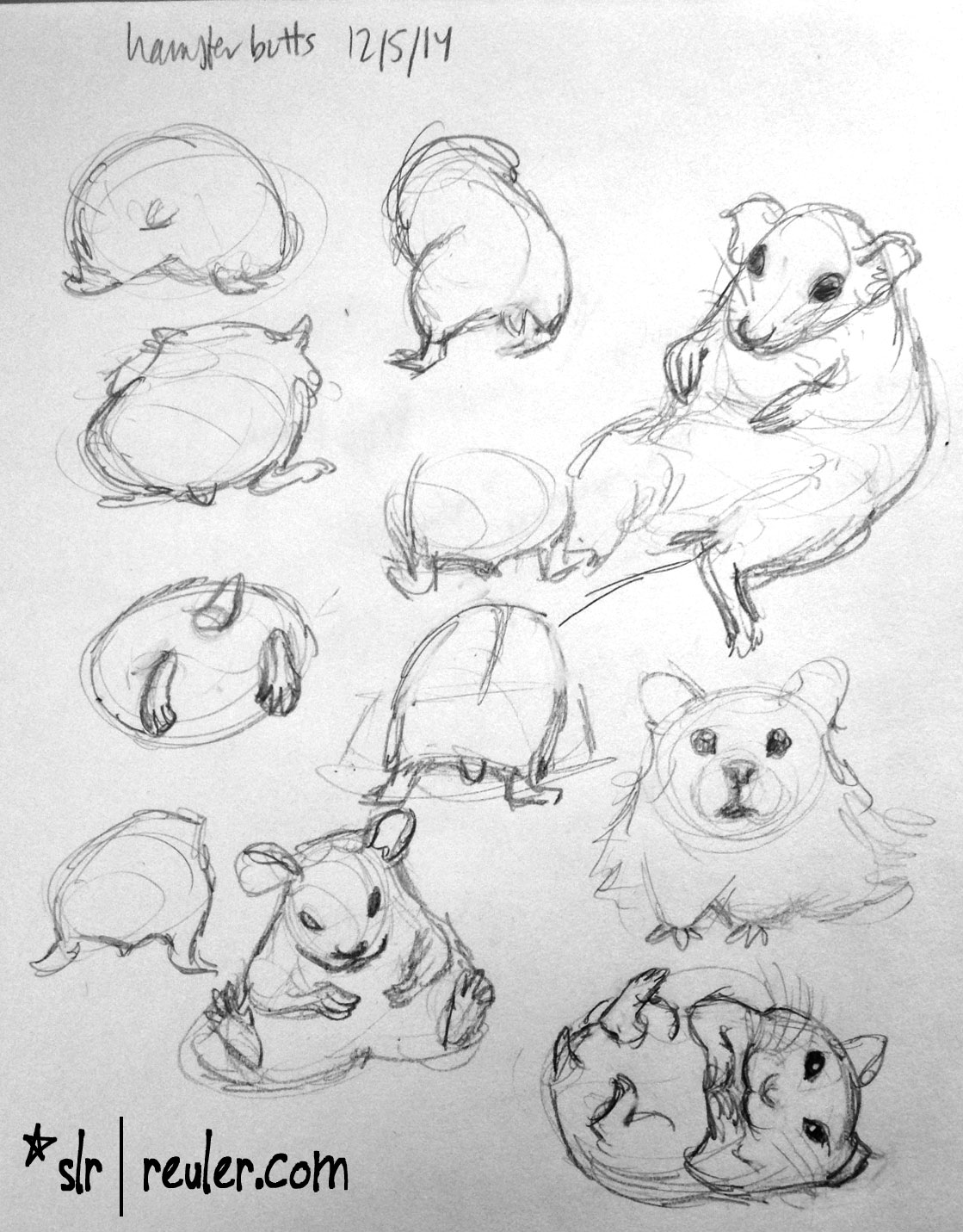 1119x1431 Sketches Sarah Lynne Reul - Hamster Sketch