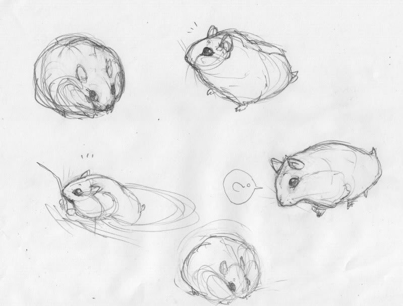 799x607 Hammy Sketches And Doodles ) - Hamster Sketch