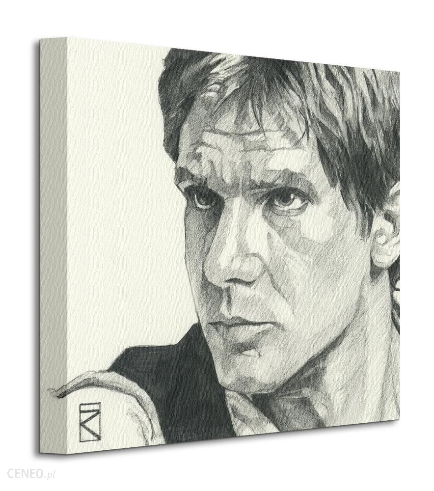 884x1000 Art Group Star Wars Han Solo Sketch Obraz Na Wdc91214 - Han Solo Sketch