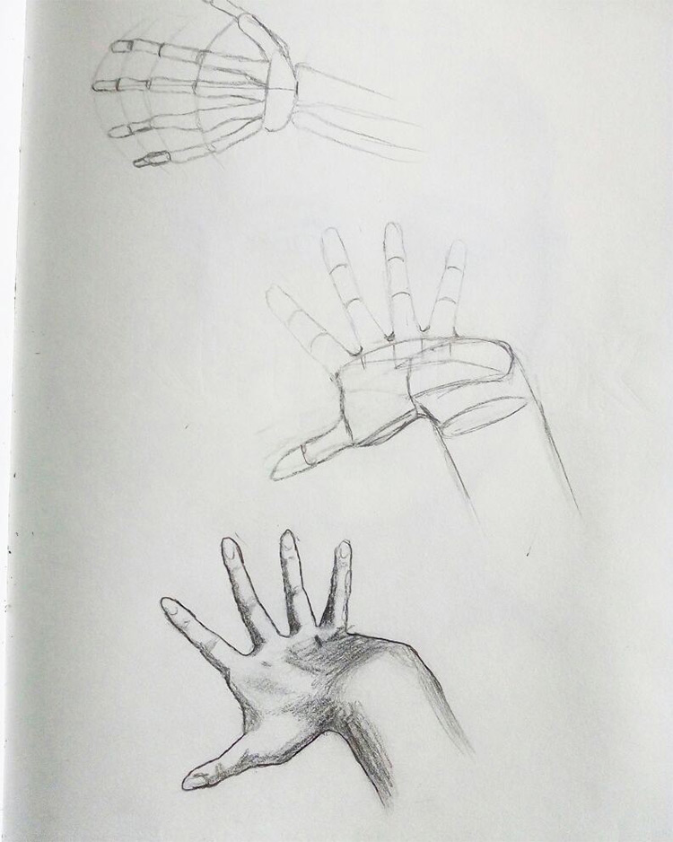 Hand Anatomy Sketch