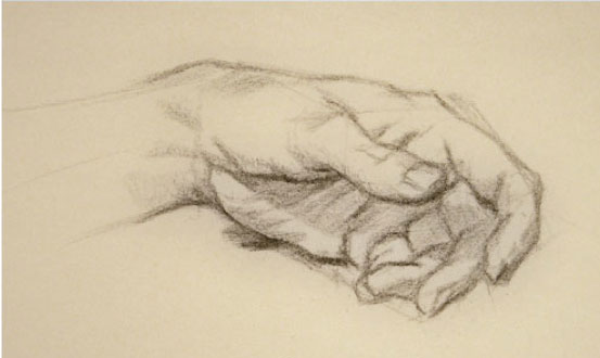 553x330 Drawing Anatomy Lesson How To Draw Hands - Hand Anatomy Sketch