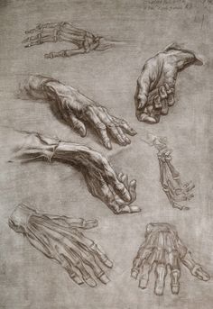 236x343 146 Best Anatomy For Artists Arms And Hands Images - Hand Anatomy Sketch