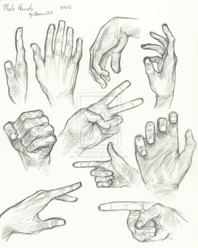 Hand Anatomy Sketch At Paintingvalley Com Explore Collection Of