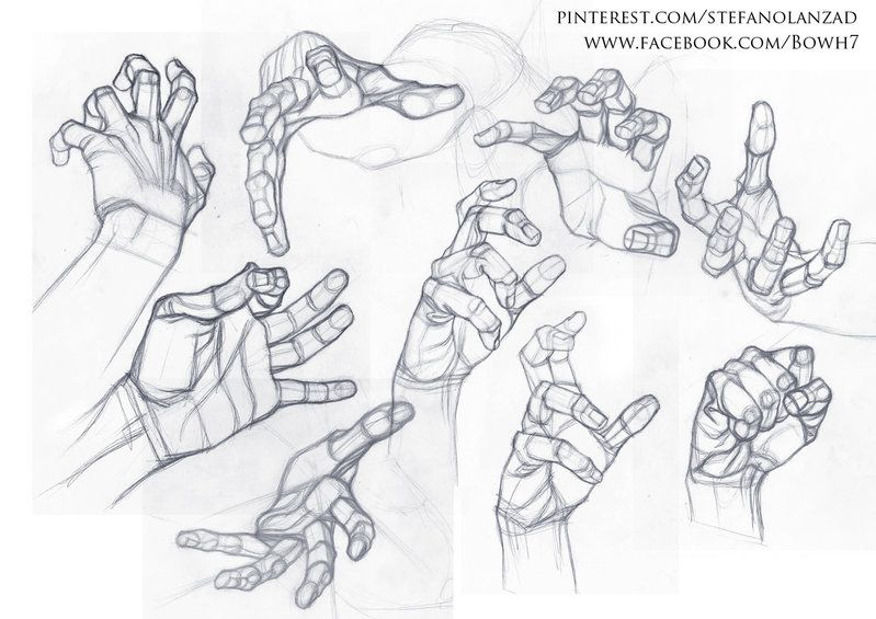 Hand Anatomy Sketch at PaintingValley.com | Explore collection of Hand ...