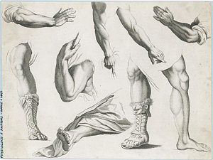 300x225 An Assortment Of Hands And Feet - Hand Anatomy Sketch