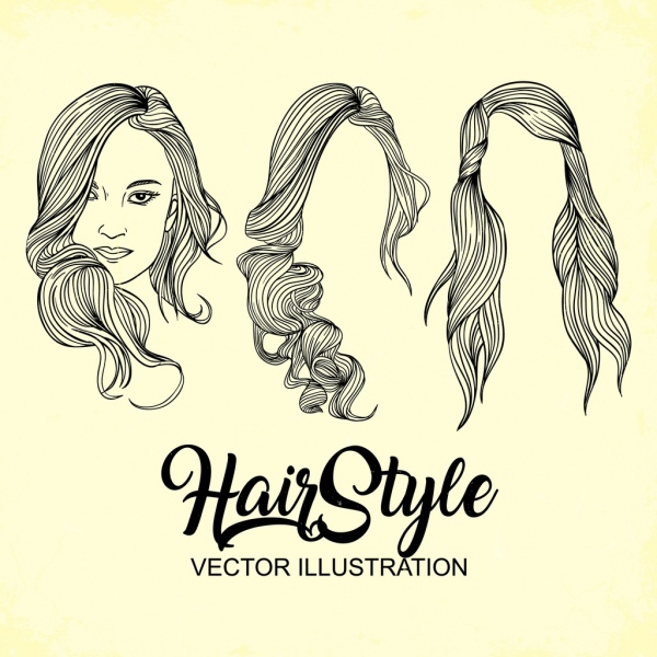 600x600 Woman Hairstyle Design Handdrawn Sketch Free Vector In Adobe - Hand Drawn Sketch