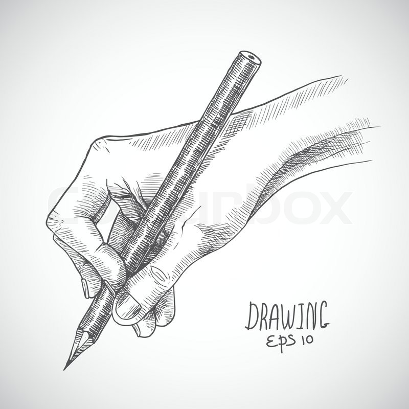 800x800 Hand Holding Pencil Sketch Isolated On White Background Vector - Hand Holding A Pencil Sketch