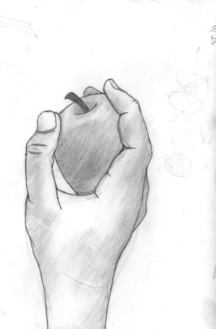 724x1101 Hand Holding Something Sketch Sketch - Hand Holding Something Sketch