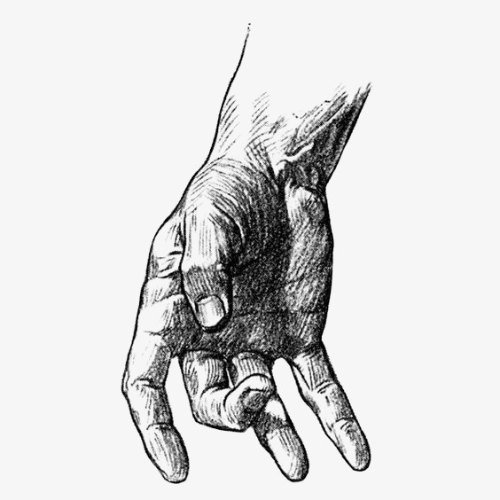 564x564 Hand Painted Palm, Sketch Of Palms, Finger, Arm Png Image And - Hand Palm Sketch