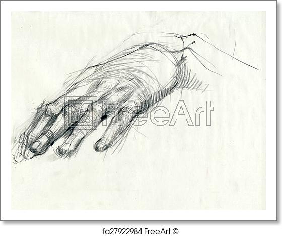 560x470 Free Art Print Of A Hand Drawing - Hand Palm Sketch