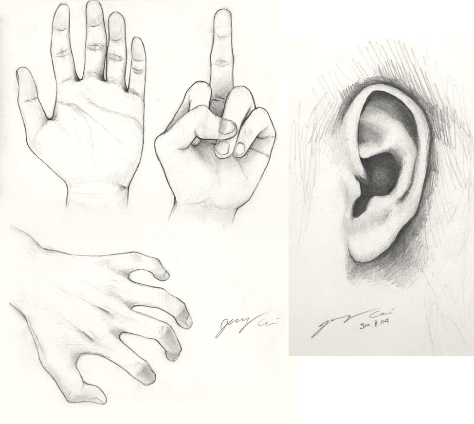 974x871 Pencil Sketching - Hand Pencil Sketch