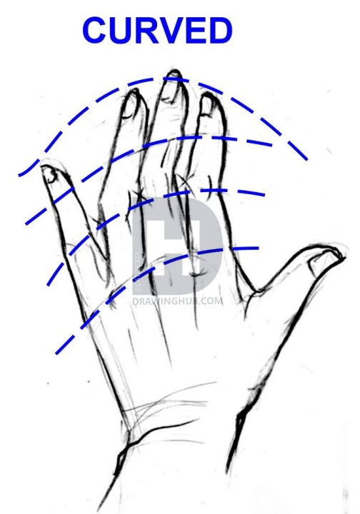 504x720 How To Draw Realistic Hands, Draw Hands, Step By Step, Drawing - Hand Reaching Out Sketch