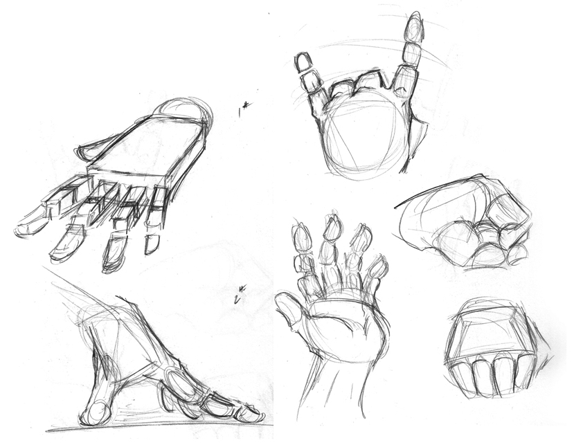 829x646 Gallery Hand Anatomy Sketch, - Hand Skeleton Sketch