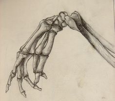 236x208 Skeleton Hand Drawing Art Lt3 Drawings, Art And - Hand Skeleton Sketch