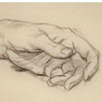 337x337 Drawing Anatomy Lesson How To Draw Hands - Hand Skeleton Sketch