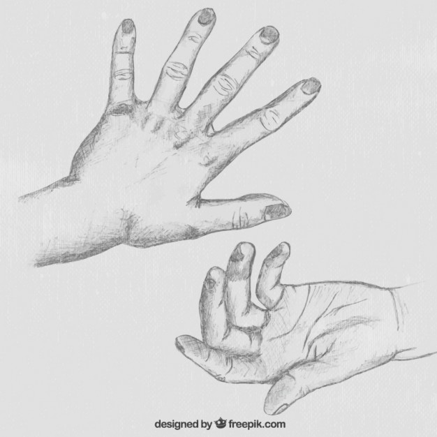 626x626 Hand Sketch Vector Free Download - Hand Sketch
