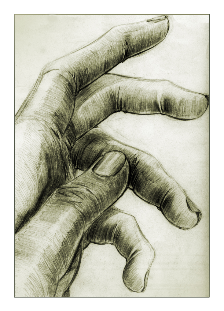 733x1016 Hand Sketch By Toonrama - Hand Sketch Art