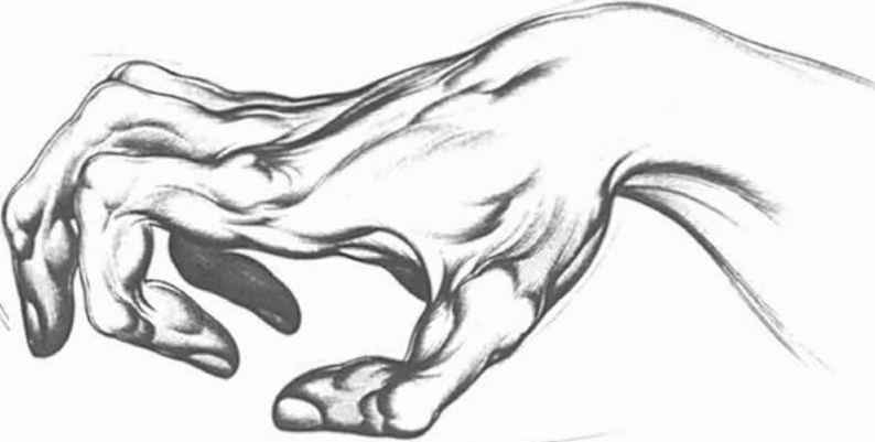 794x401 The Hand As A Claw - Hand Sketch Drawing