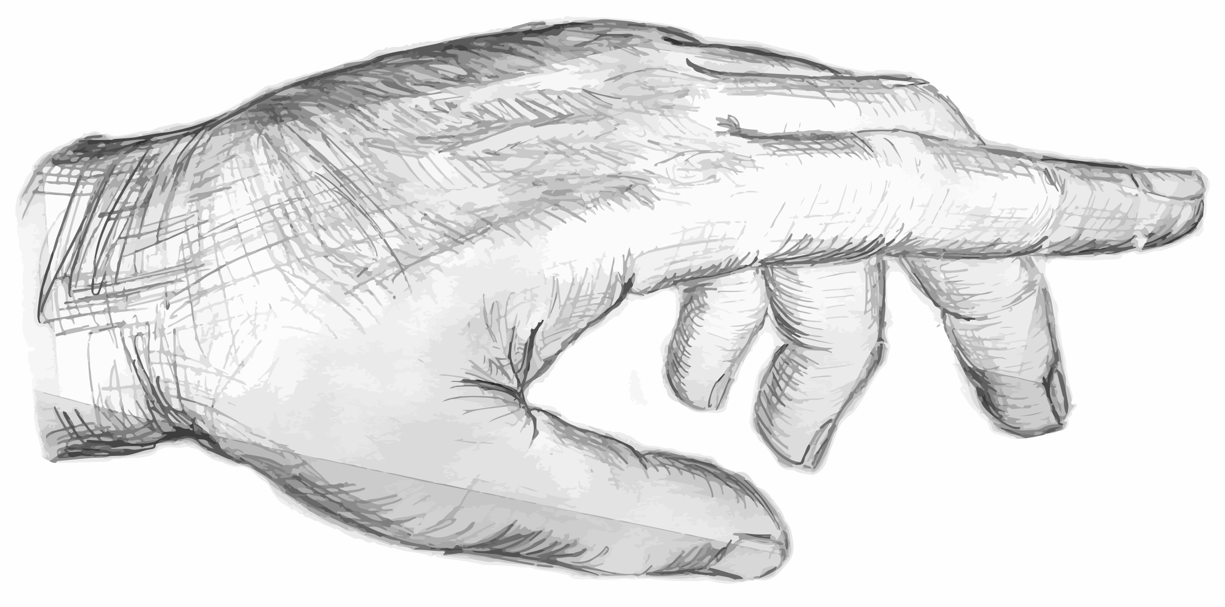 2399x1189 Clipart - Hand Sketch Pic