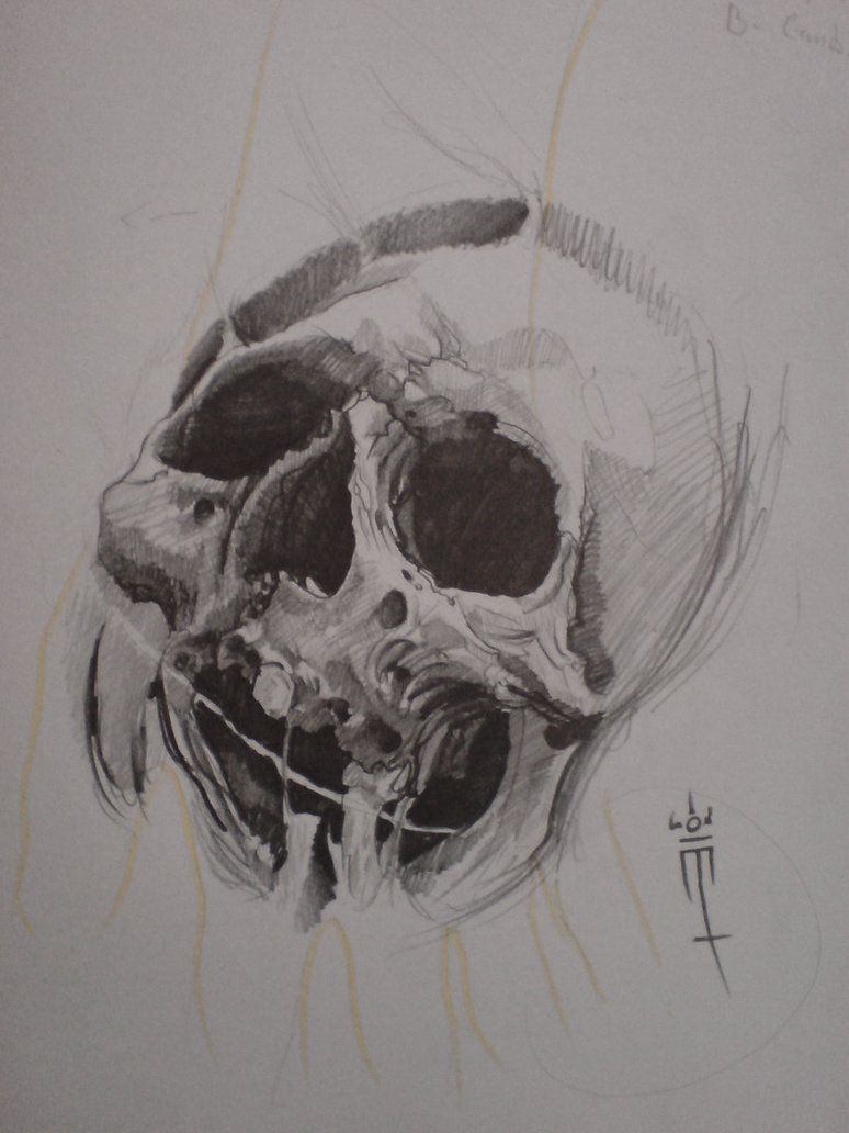 774x1032 Tattoo Hand Sketch By Oscarmora6 - Hand Sketch Tattoo